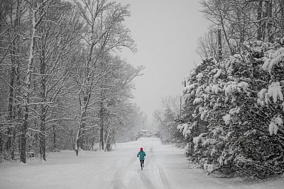 Endurance in Truth: The Path to Freedom