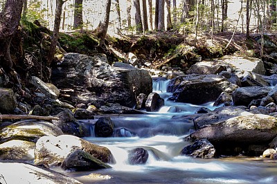 Thirsting for the Living Water